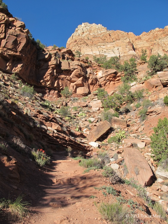 Rocky path up the Watchman Trail