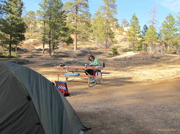 Our  Bryce Canyon campsite...Loop C #64