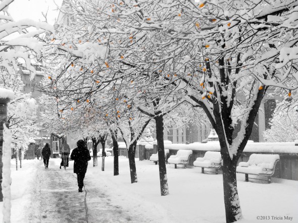 Walking along Elgin Street