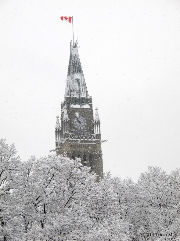 The Peacetower from Major's Hill Park