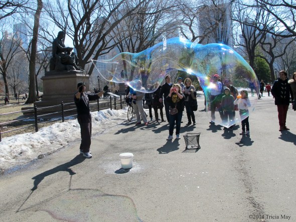 Busker in Central Park