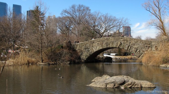 Gapstow Bridge in Central Park