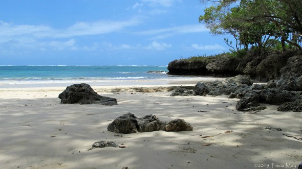 IMG_0536 copy straight ©