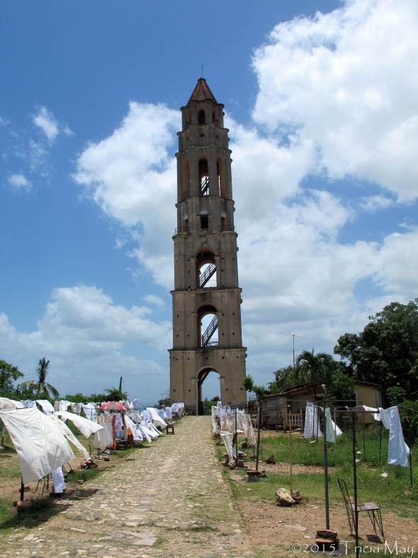 IMG_0907 copy crop ©