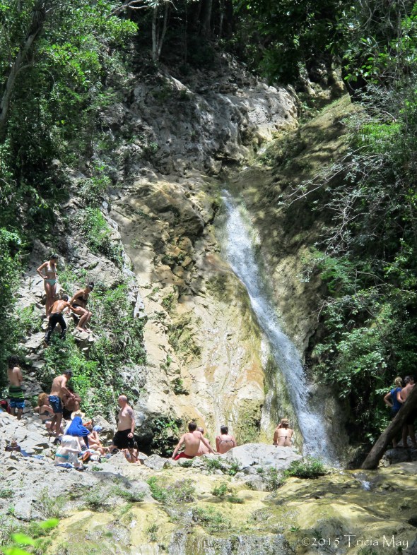 IMG_1002 copy crop ©