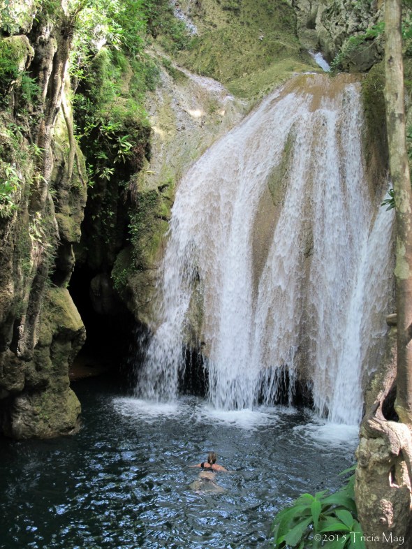 IMG_1061 copy straight ©