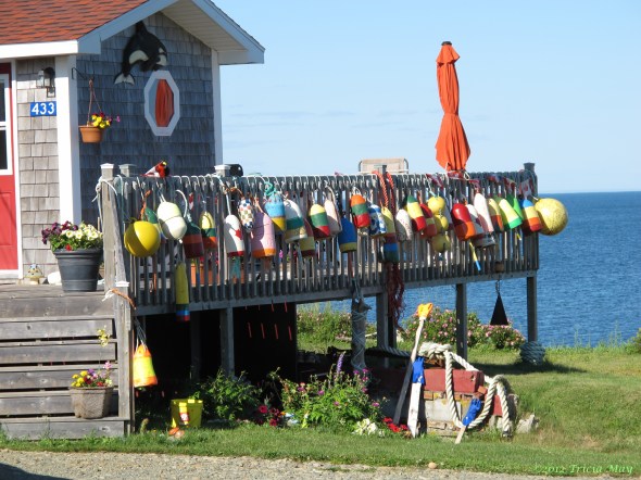 Colourful buoys ©