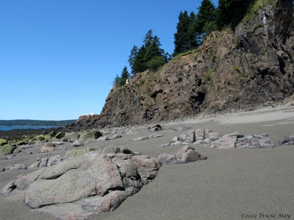 IMG_1282 copy straight ©