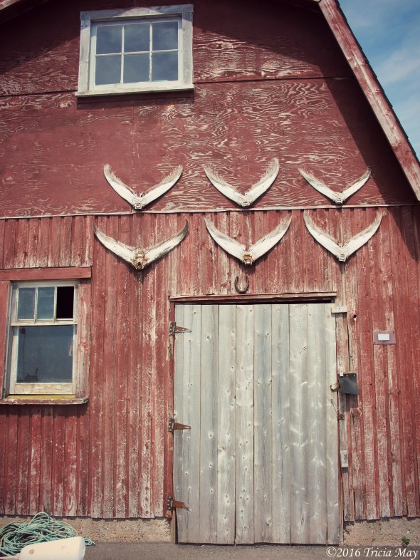 barn-with-fish-01-dusk