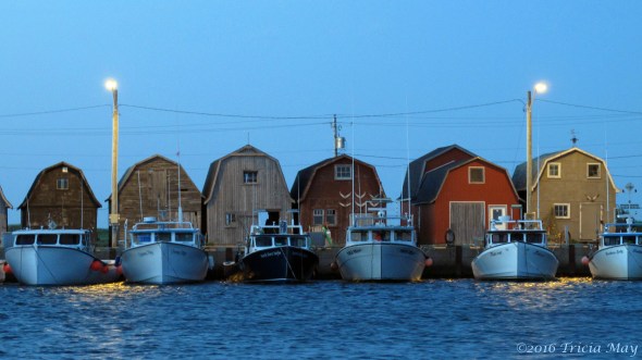 img_4428-copy-crop-02