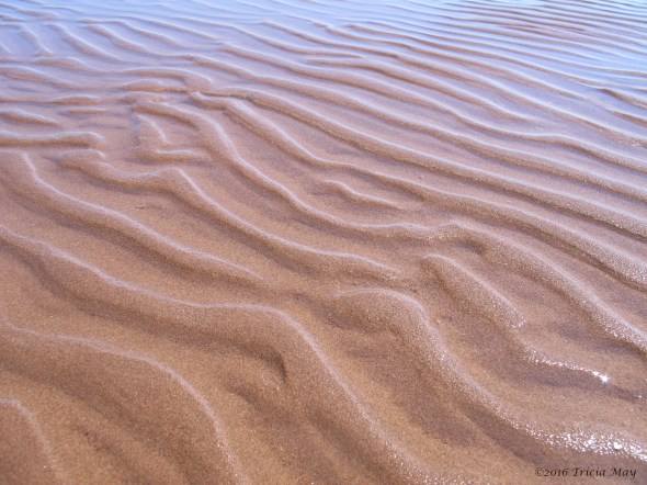 sand-ripples-01
