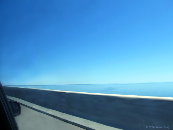 view-from-the-confederation-bridge